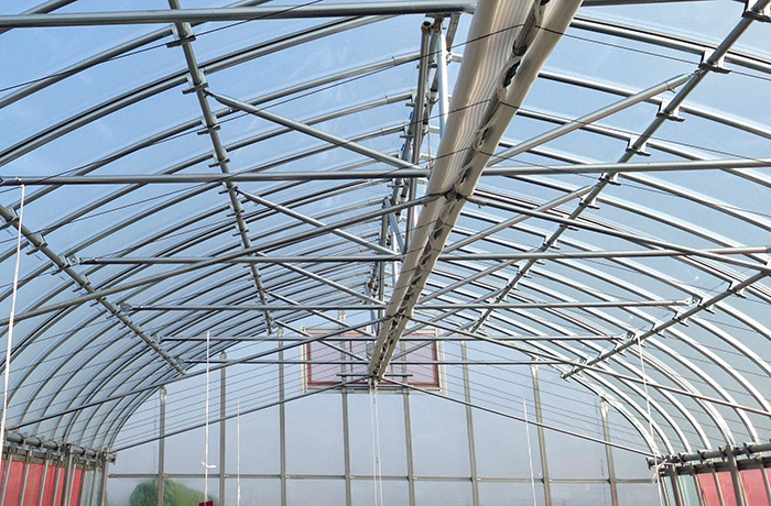 オーダーメイドPOフィルム