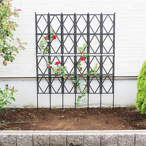 ローズトレリスワイド 高さ180cm