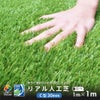 送料込み価格★人工芝C型30mm1m×1mリアル人工芝DAIMマットロール式芝生【人工芝リアルドッグランロール式グリーン庭ゴルフアプローチラフ】