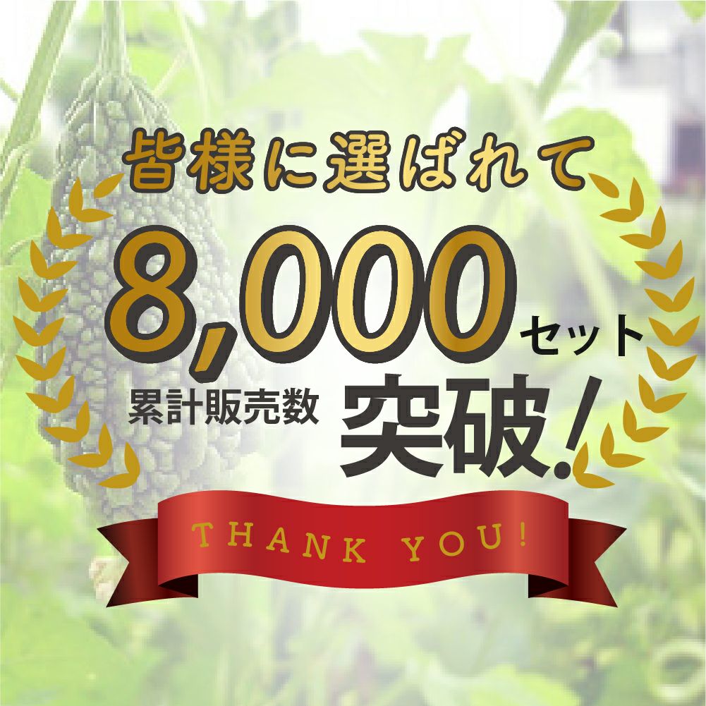 空中栽培つる棚セット1セット入り【家庭菜園キュウリゴーヤエンドウ小玉スイカ小型カボチャ空中栽培園芸支柱用品キット野菜作り】