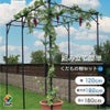 くだもの棚セットKT-M120【菜園園芸支柱ガーデニングガーデニング用品家庭菜園】【10P01Sep13】【RCP】