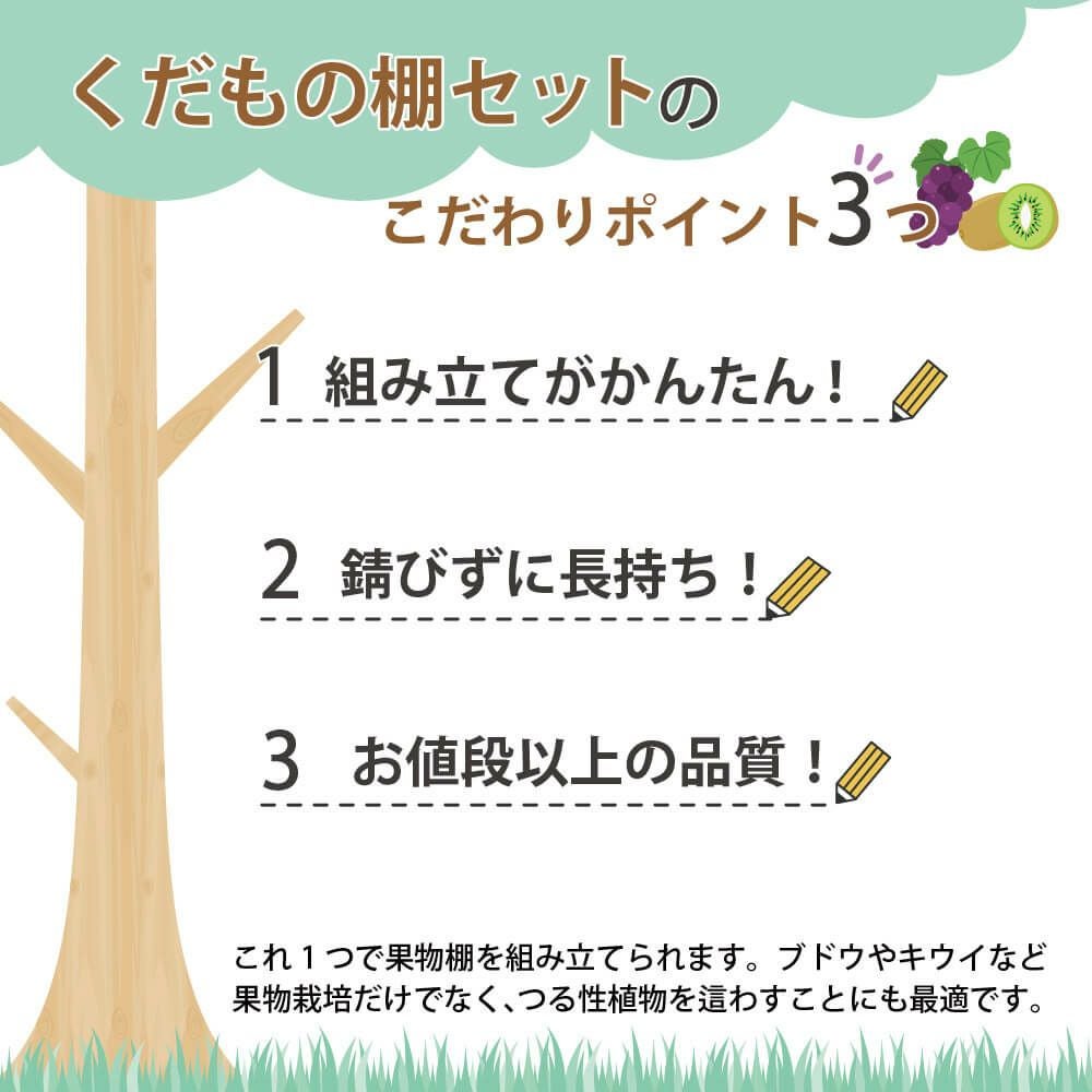 くだもの棚セットKT-M120【菜園園芸支柱ガーデニングガーデニング用品家庭菜園】【10P01Sep13】【RCP】