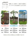 くだもの棚セットKT-M120【菜園園芸支柱ガーデニングガーデニング用品家庭菜園】【10P01Sep13】【RCP】