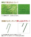 人工芝おさえピン10本入り【園芸支柱ガーデニング家庭菜園用品用具】【10P01Sep13】【RCP】