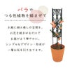 ローズトレリス幅60cm×高さ120cm広げるだけのかんたんトレリス♪【薔薇トレリスバラばらプランターベランダラウンドトレリス園芸組み立て不要フェンス支柱園芸ガーデニング家庭菜園用品】