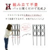 ローズトレリス幅60cm×高さ120cm広げるだけのかんたんトレリス♪【薔薇トレリスバラばらプランターベランダラウンドトレリス園芸組み立て不要フェンス支柱園芸ガーデニング家庭菜園用品】