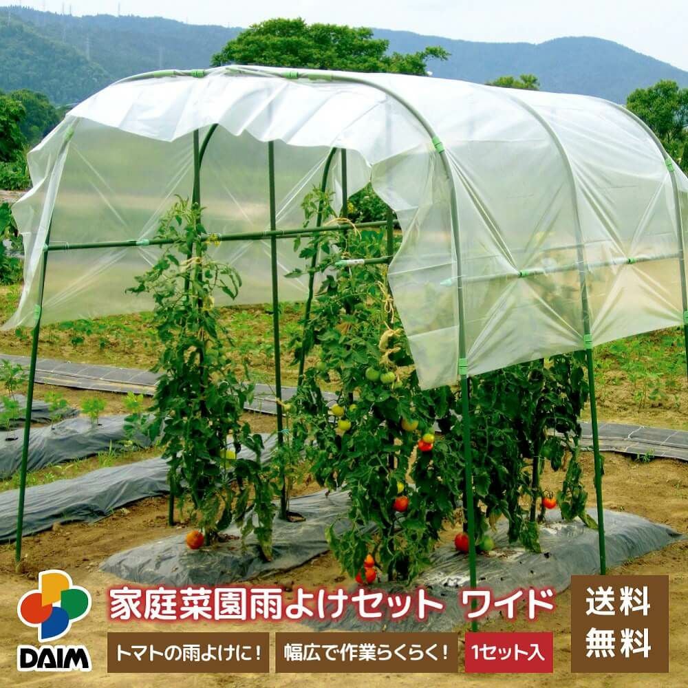 家庭菜園、畑の基本セット 水畑ミニ 水耕栽培セット 家庭菜園キット 野菜 ハイドロカルチャー