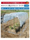 組み立てかんたん雨よけセットワイド奥行き3.6mトマトの雨よけに【雨よけ雨除けトマト栽培家庭菜園】