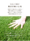 こちらはカットサンプルのページとなります。人工芝20cm×20cmDAIMリアルマットロール式芝生【人工芝リアルドッグランロール式グリーン庭】