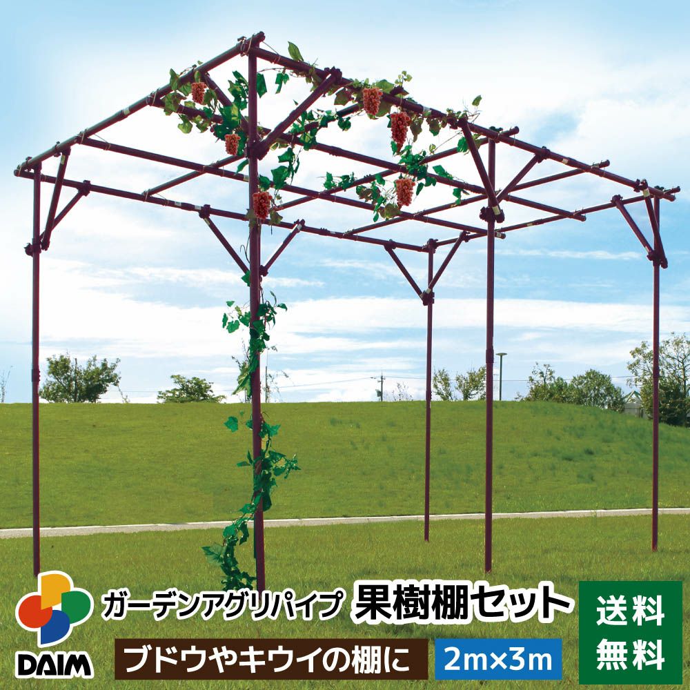 第一ビニール ガーデンアグリ果樹棚セット 幅3m×奥行2m×高さ2mの販売