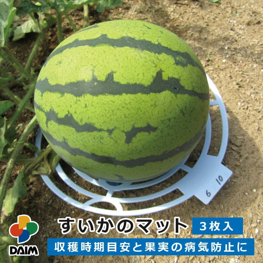 第一ビニール すいかのマット 3枚入りの販売ページです 第一ビニール すいかのマット 3枚入りの販売ページです