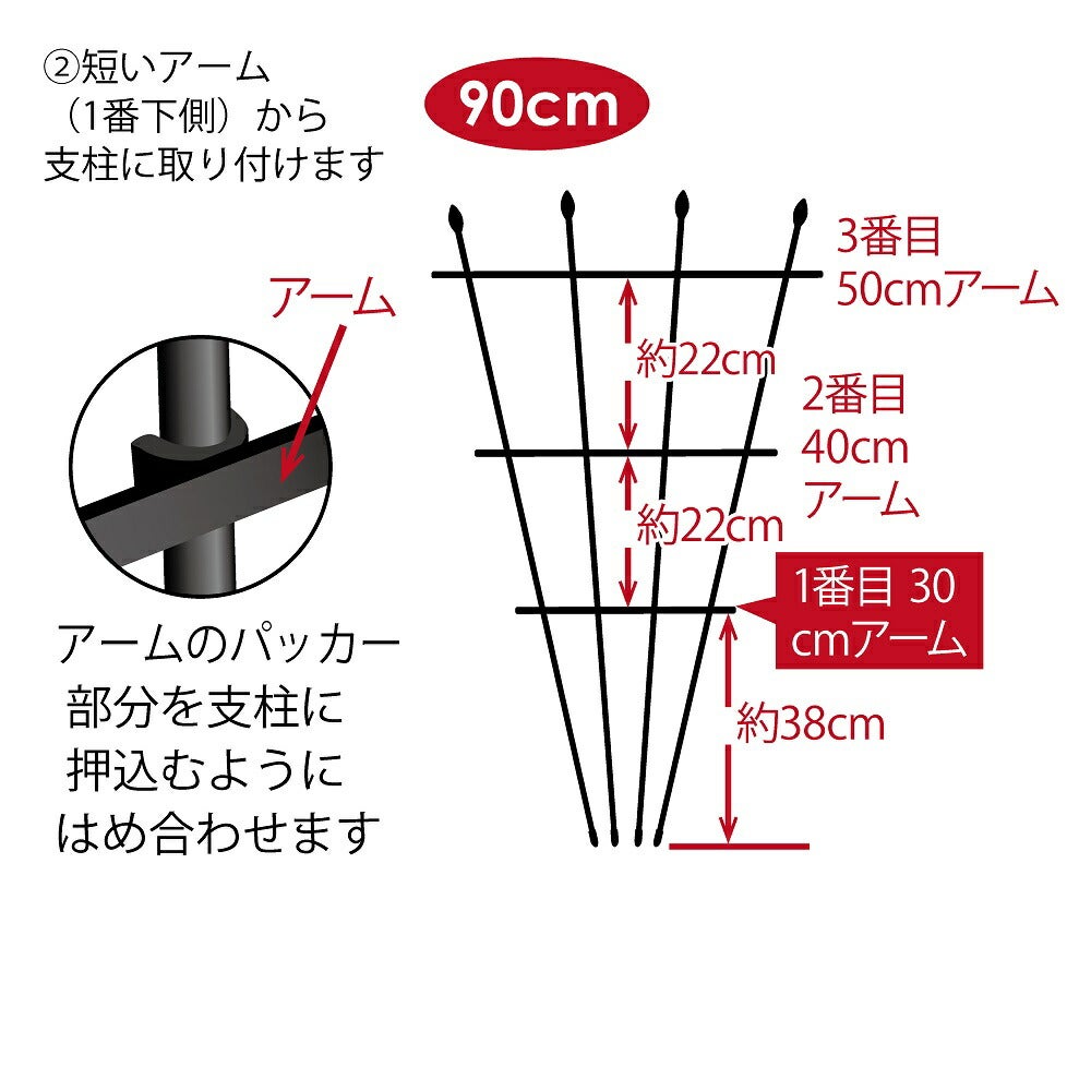 せんす型トレリス幅50cm×高さ90cmパイプとアームをはめるだけ！組み立てカンタン♪【つる性植物薔薇トレリスバラばらつる性植物プランターベランダラウンドトレリス園芸組み立て不要フェンス支柱園芸ガーデニング家庭菜園用品】