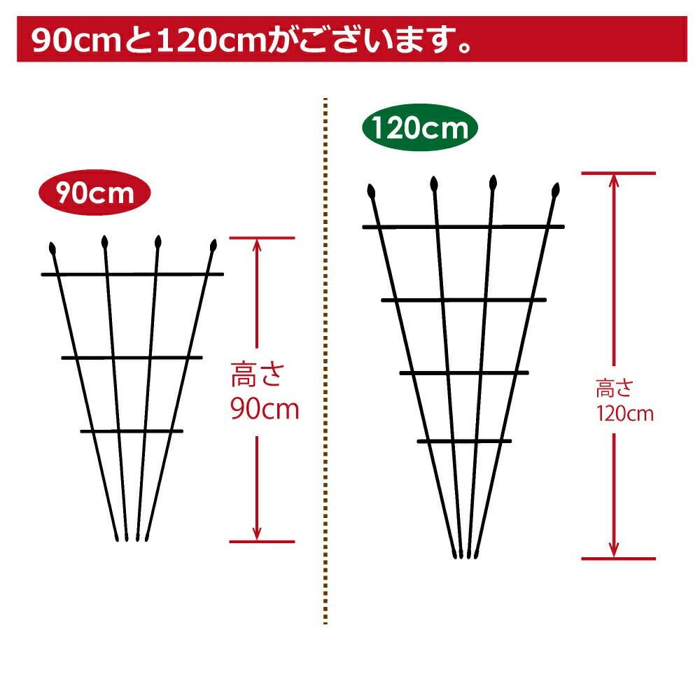 せんす型トレリス幅50cm×高さ90cmパイプとアームをはめるだけ！組み立てカンタン♪【つる性植物薔薇トレリスバラばらつる性植物プランターベランダラウンドトレリス園芸組み立て不要フェンス支柱園芸ガーデニング家庭菜園用品】