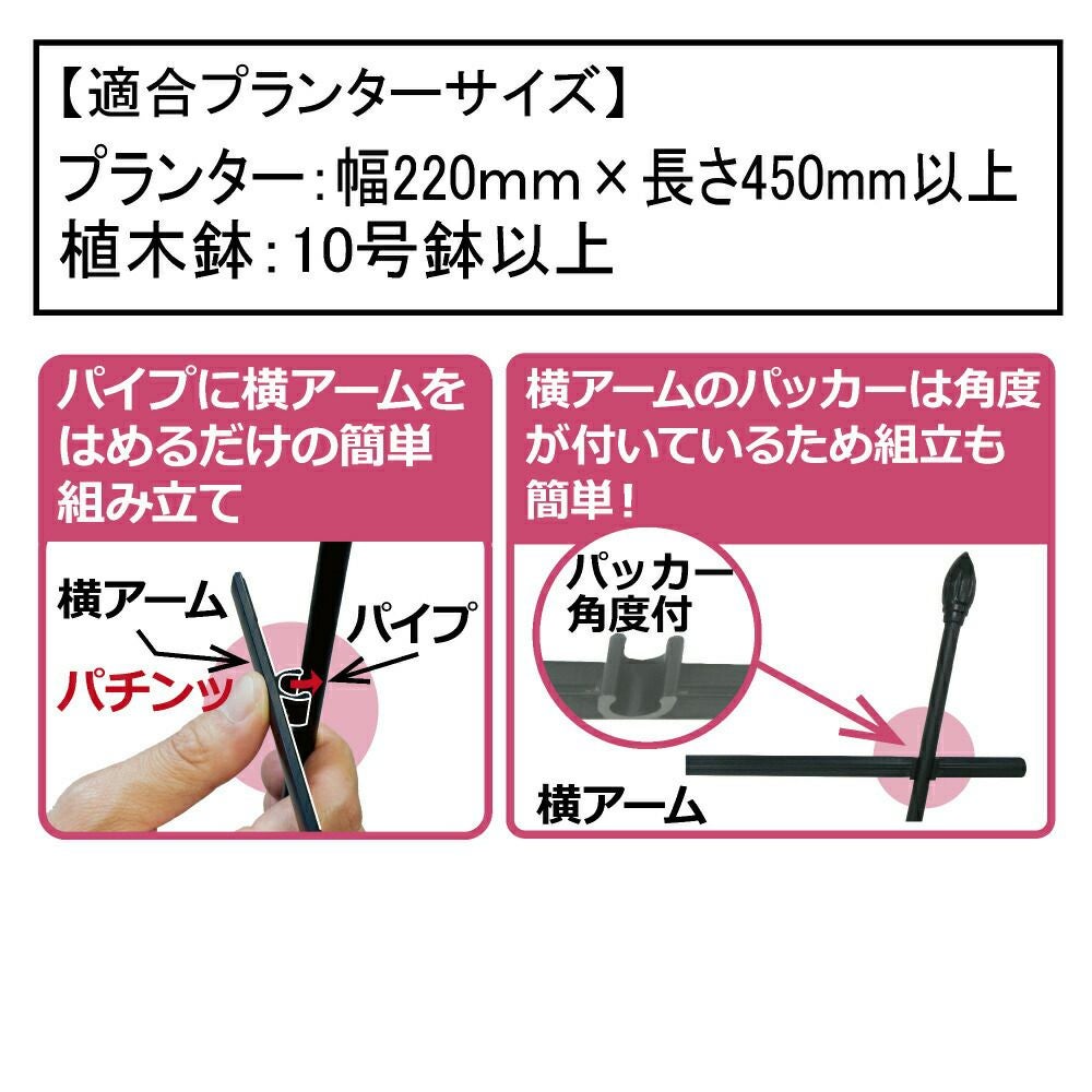 せんす型トレリス幅60cm×高さ120cmパイプとアームをはめるだけ！組み立てカンタン♪【つる性植物薔薇トレリスバラばらつる性植物プランターベランダラウンドトレリス園芸組み立て不要フェンス支柱園芸ガーデニング家庭菜園用品】