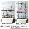 自在型トレリス幅60cm×高さ90cmやわらかいアームでフェンスや、タワー型でもお使い頂けます♪【つる性植物薔薇トレリスバラばらつる性植物プランターベランダラウンドトレリス園芸組み立て不要フェンス支柱園芸ガーデニング家庭菜園用品】
