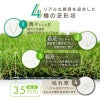 daim リアル人工芝 + エアスルーパネル ベランダ 緑化セット 細芝 10平方m相当 2x5m