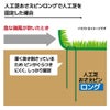 daim 人工芝 ピン おさえ 押さえ ロングタイプ 50本入【園芸 支柱 ガーデニング 家庭菜園 用品 用具 防草 グリーン 剣先タイプ 人工芝】