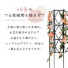 daim ローズトレリスワイド 幅120cm×高さ120cm組み立てかんたんトレリス♪ワイドタイプでお庭をもっと華やかに【薔薇 トレリス バラ ばら プランター ベランダ ラウンドトレリス 園芸 組み立て不要 フェンス 支柱 園芸 ガーデニング 家庭菜園 用品】