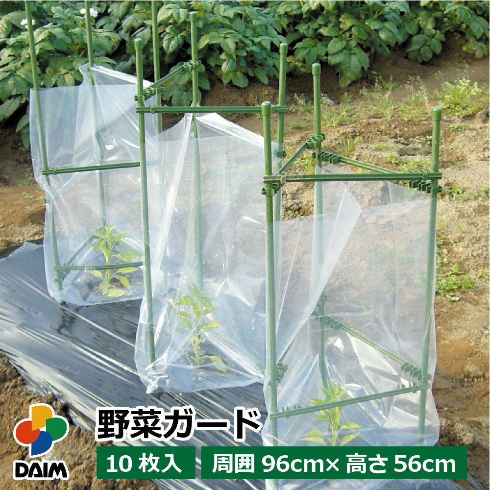 第一ビニール 野菜ガード 10枚入りの販売ページです