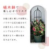 daim スモールオベリスク 直径21cm×高さ120cm【園芸 支柱 竹 ガーデニング 家庭菜園 かぼちゃ 用品】
