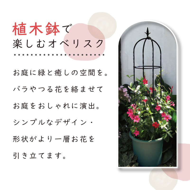 daim スモールオベリスク 直径21cm×高さ120cm【園芸 支柱 竹 ガーデニング 家庭菜園 かぼちゃ 用品】