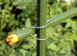 菜園クロスバンドφ１６～２０ｍｍ用１０本パック