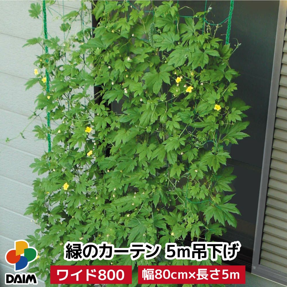 第一ビニール 緑のカーテン 5m 吊下げタイプ ワイド800 1セット入りの