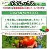 【送料無料】前後ドア付きで出入りらくらく！ビニールハウス★【ダイムハウス2坪用ドア付き】農業用ビニールを使用した本格的な菜園ハウス保温や鳥よけ、雨よけ対策に！家庭用家庭菜園