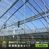 【受注生産品】daim 農業用 POフィルム 透明 防滴剤 塗布タイプ 0.15mm 400cm幅 m単価 5~50m 耐硫黄 防滴 農PO オーダーメイド POシート ポリシート 農ポリ カット ハウスビニール ビニールハウス