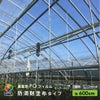 【受注生産品】daim 農業用 POフィルム 透明 防滴剤 塗布タイプ 0.15mm 600cm幅 m単価 5~50m 耐硫黄 防滴 農PO オーダーメイド POシート ポリシート 農ポリ カット ハウスビニール ビニールハウス