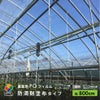 【受注生産品】daim 農業用 POフィルム 透明 防滴剤 塗布タイプ 0.15mm 800cm幅 m単価 5~50m 耐硫黄 防滴 農PO オーダーメイド POシート ポリシート 農ポリ カット ハウスビニール ビニールハウス