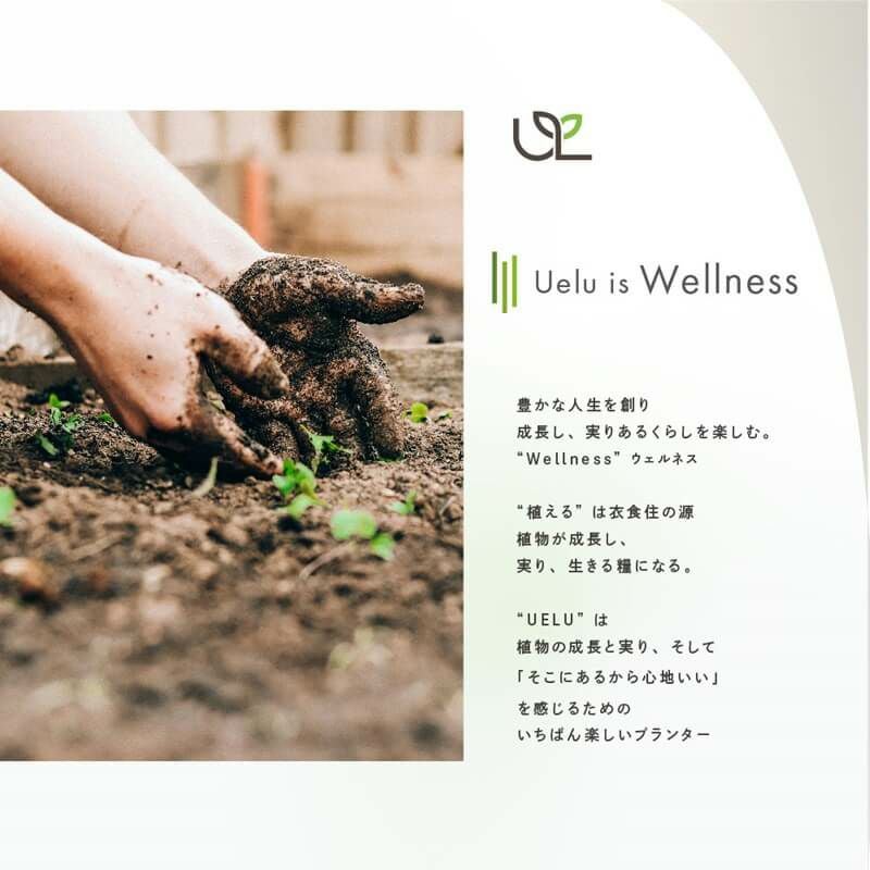 スタンド式 プランター スカイポット 10号鉢 高さ60cm 2個セット入