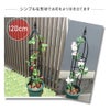 daim 組立かんたんスマートオベリスク 直径20cm×高さ160cm diy ローズオベリスク ガーデン オベリスク つる性植物 つる花 薔薇 バラ ばら 菜園  組み立て 支柱 園芸 家庭菜園 送料無料