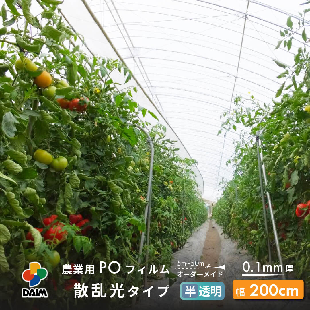 第一ビニール 受注生産 農業用 POフィルム 半透明 散乱光タイプ 0.1mm