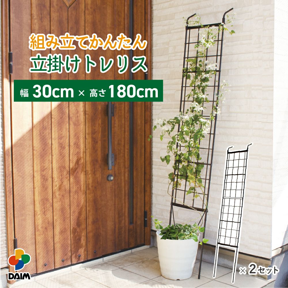 第一ビニール 組み立てかんたん立掛けトレリス 2セット入り 幅30cm×高