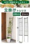 daim 組み立てかんたん立掛けトレリス 2セット入り 幅30cm×高さ180cm diy 薔薇 トレリス バラ 立て掛け クレチマス 誘引 つる性 ばら プランター ベランダ ラウンドトレリス 園芸 フェンス 支柱 送料無料