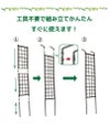 daim 組み立てかんたん立掛けトレリス 2セット入り 幅30cm×高さ180cm diy 薔薇 トレリス バラ 立て掛け クレチマス 誘引 つる性 ばら プランター ベランダ ラウンドトレリス 園芸 フェンス 支柱 送料無料