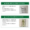 daim 組み立てかんたん立掛けトレリス 2セット入り 幅30cm×高さ180cm diy 薔薇 トレリス バラ 立て掛け クレチマス 誘引 つる性 ばら プランター ベランダ ラウンドトレリス 園芸 フェンス 支柱 送料無料