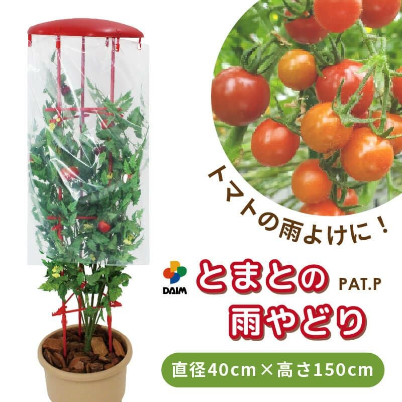 第一ビニール とまとの雨やどり 直径40cm×高さ150cmの販売ページです