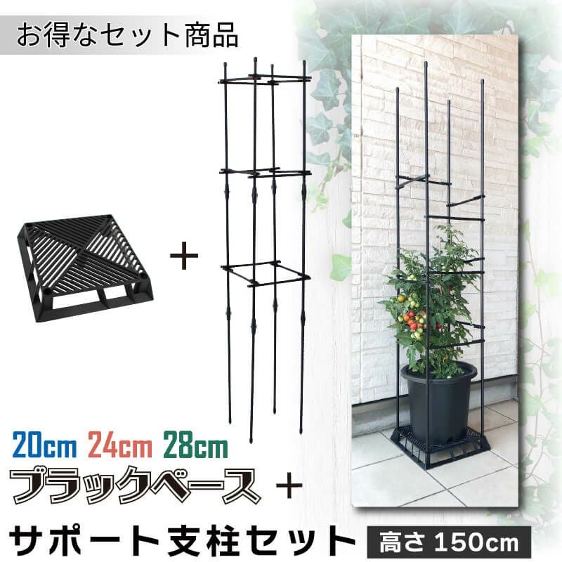 daim ブラックベース 24cm
