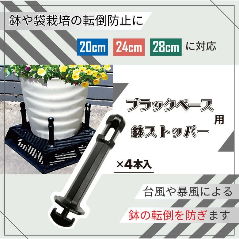 daim ブラックベース 20cm  5個 