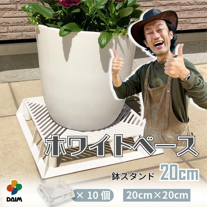 第一ビニール ホワイトベース 20cm c105個の販売ページです