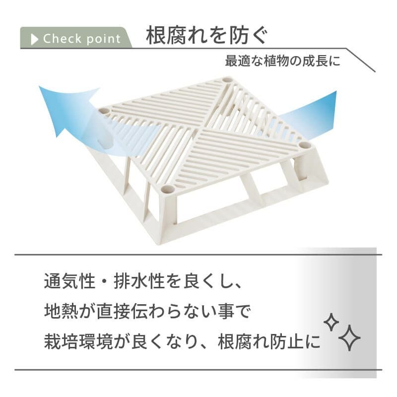daim ホワイトベース 24cm 5個