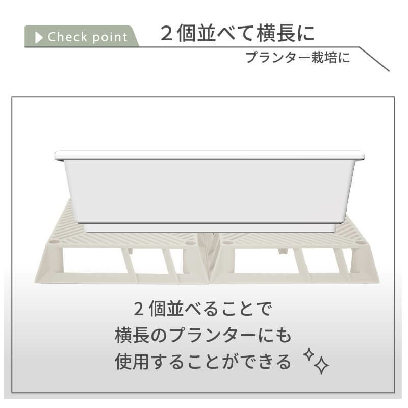 daim ホワイトベース 24cm 5個