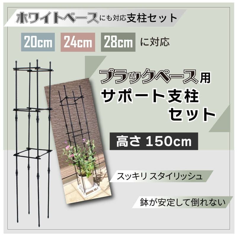 daim ホワイトベース 24cm 5個