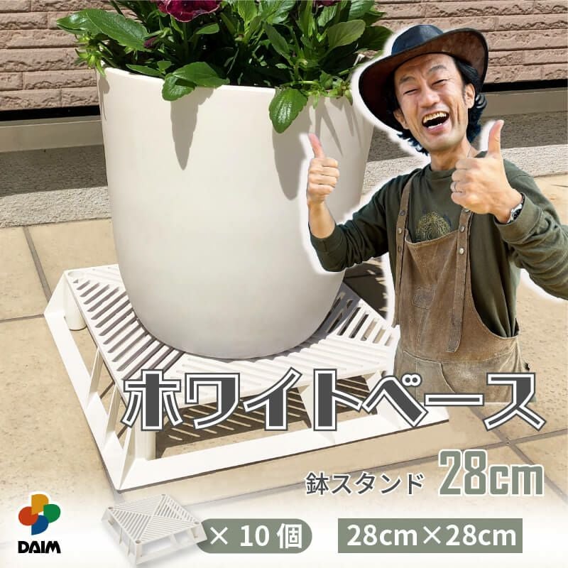 第一ビニール ホワイトベース 28cm 10個の販売ページです