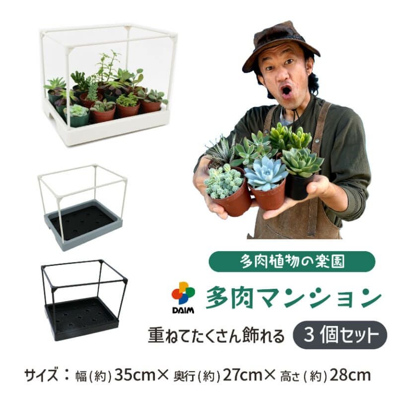 第一ビニール 多肉マンション 幅35cm×奥行き27cm×高さ28cmの3セット