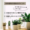daim 多肉マンション 幅35cm×奥行き27cm×高さ28cm 3セット入り 全3色 オフホワイト アイスグレー ブラック
