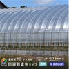 【受注生産品】daim 農業用 POフィルム 透明  汎用 防滴剤 塗布タイプ 0.13mm 860cm幅