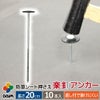 daim 防草シート押さえ 楽釘アンカー 長さ20cm 10本入